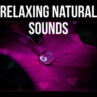 Relaxing Natural Sounds - Rainy Mood, Ocean Waves, Chill Out Walking Music, Stress Relief, Pure Music, Calmness by Lovely Nature Music Zone