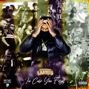 In Case You Forgot by Lamb$