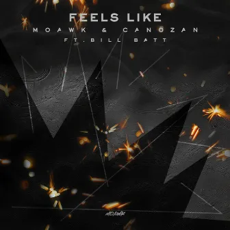 Feels Like by Moawk