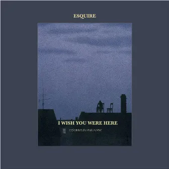 I Wish You Were Here by Esquire