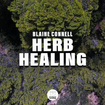 Herb Healing by Blaine Connell