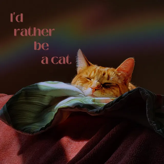 I'd rather be a cat