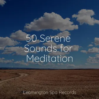 50 Serene Sounds for Meditation by Instrumental