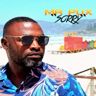 Sorry by Mr Pux