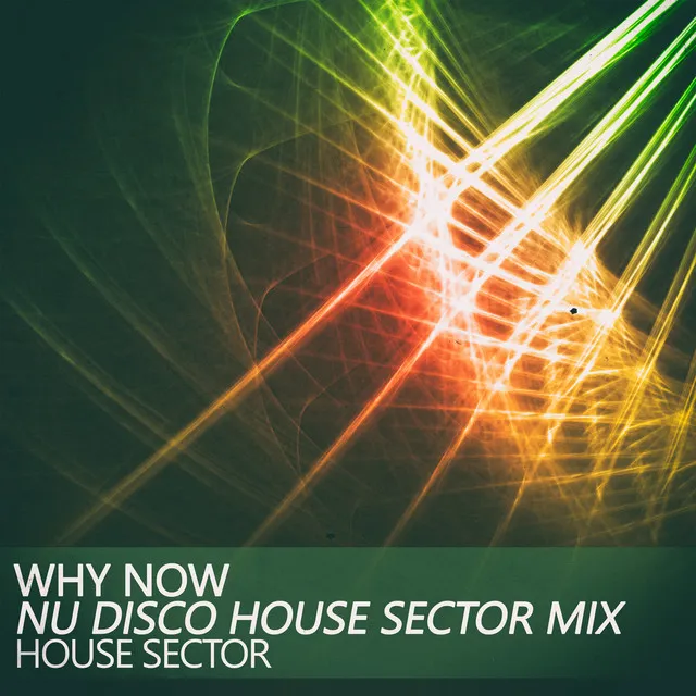 Why Now - Nu Disco House Sector Mix