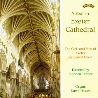 A Year in Exeter Cathedral by Stephen Tanner