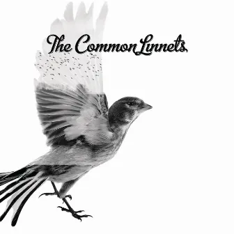 The Common Linnets (Special Edition) by The Common Linnets