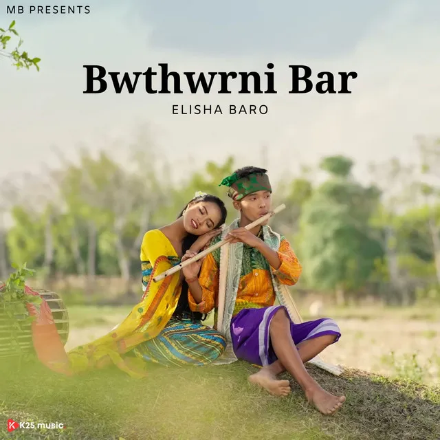 Bwthwrni Bar