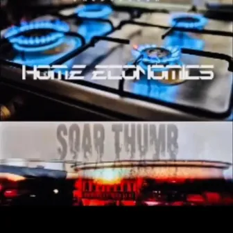 Home Economics 2 by Soar Thumb