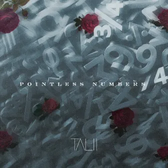 POINTLESS NUMBERS by Talii