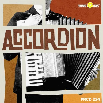 Accordion by Enrico Prandi