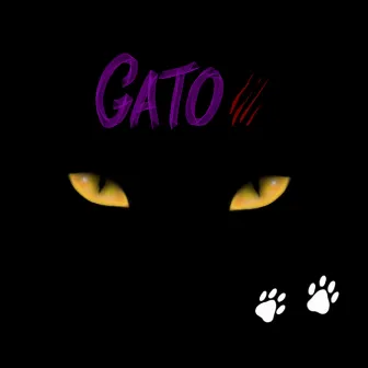 Gato by SVJ