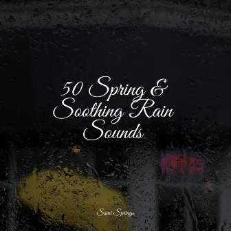 50 Spring & Soothing Rain Sounds by Nature Noise