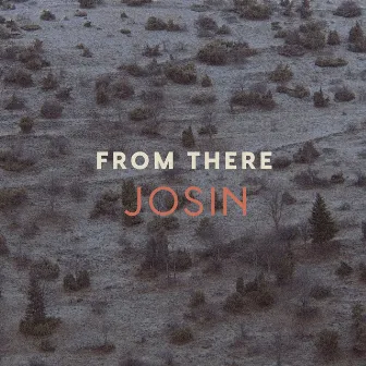 From There by Josin