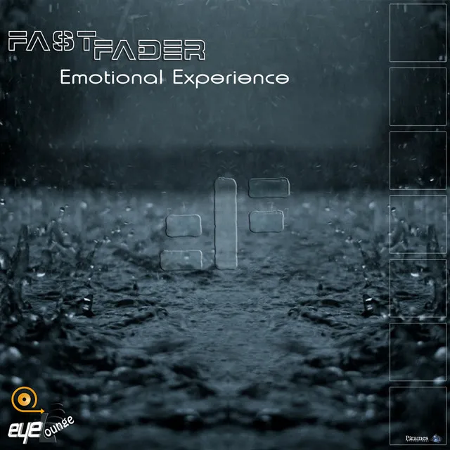 FF Emotional Experience