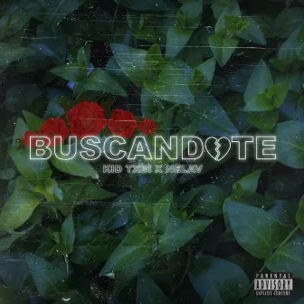 Buscandote by NELAV