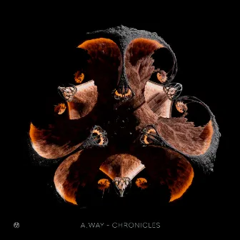 Chronicles by A.way