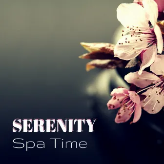 Serenity Spa Time - Wellness Ambient Meditating Music for Positive Energy by Buddha Tranquility Zen Spa Music Relaxation Deep Sleep Serenity Academy