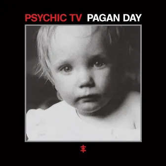 Cold Steel by Psychic TV