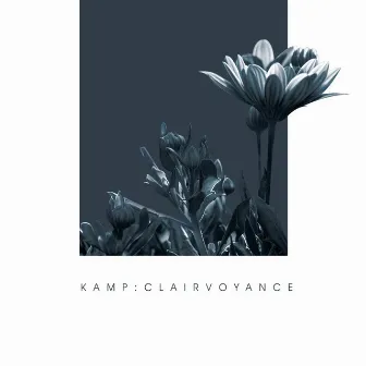 Clairvoyance by Kamp