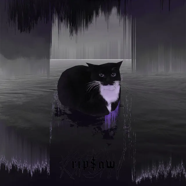 MAXWELL THE CAT THEME (DNB)