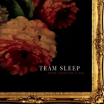 Ever (Foreign Flag) by Team Sleep