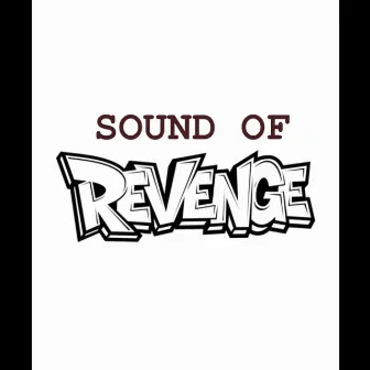 Sound Of Revenge by Jesse Gee