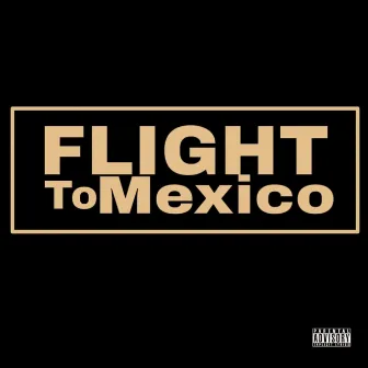 Flight to Mexico by The Stoners Circle