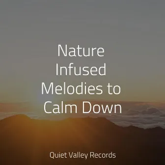 Nature Infused Melodies to Calm Down by Natural Nature Makers