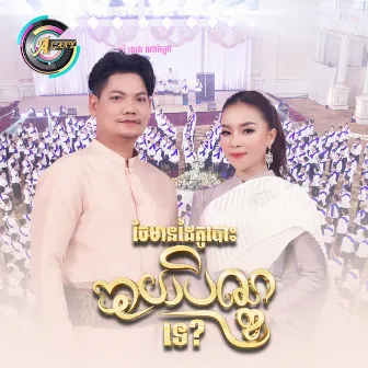 ចែមានដៃគូបោះបាយបិណ្ឌទេ? by តន់ ចន្ទសីម៉ា