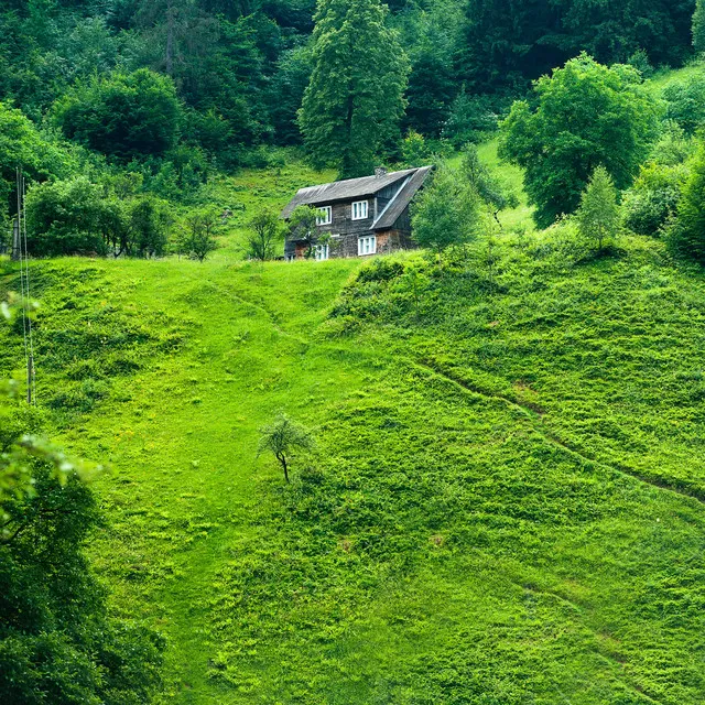 Soñoliento frío ruido blanco