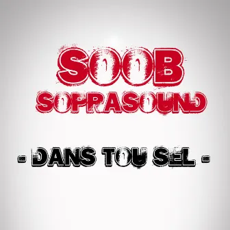 Dans tou sel by Soob