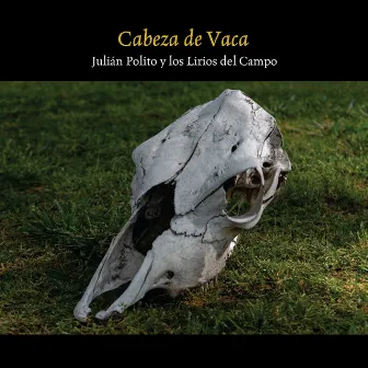 Cabeza de Vaca by Julián Polito