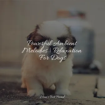 Powerful Ambient Melodies | Relaxation For Dogs by Music for Dog's Ear