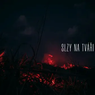 Slzy Na Tváři by N4ML0CK