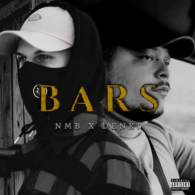 BARS