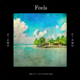 Feels by N!smo