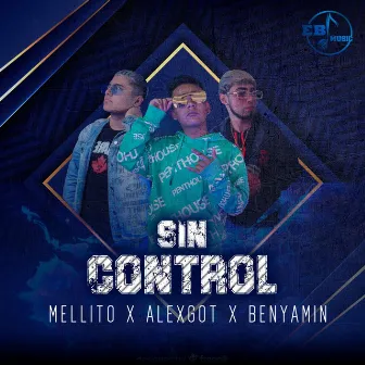 Sin Control by Mellito