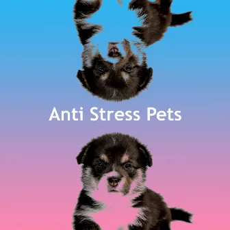 Anti Stress Pets by Unknown Artist