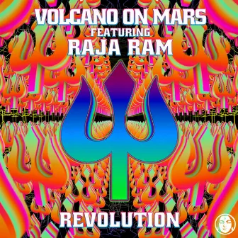 Revolution by Raja Ram