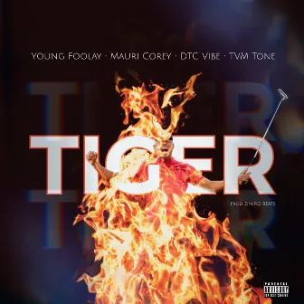 Tiger by Young Foolay