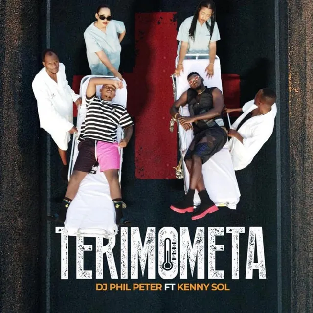 TERIMOMETA