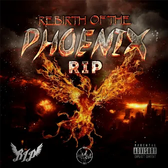 Rebirth of the Phoenix by Rip