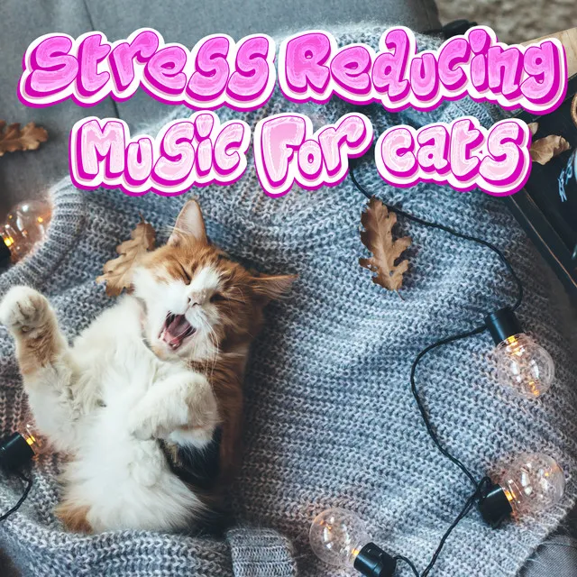 Calming Music For Cats With Anxiety