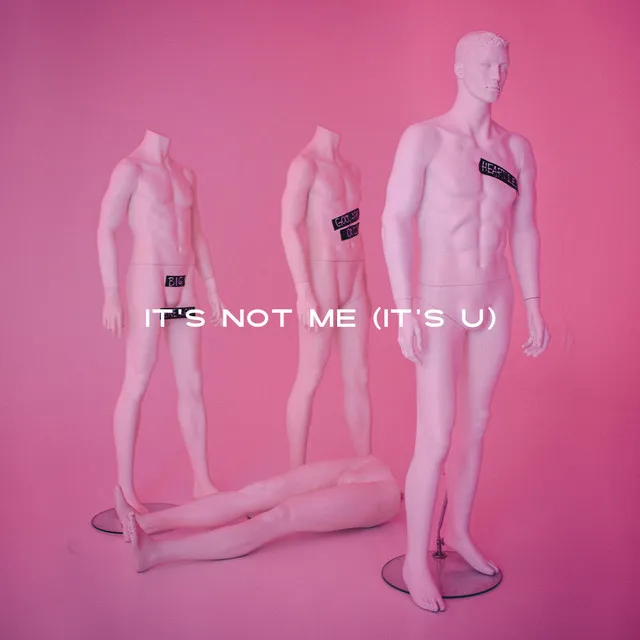 It's Not Me (It's U)