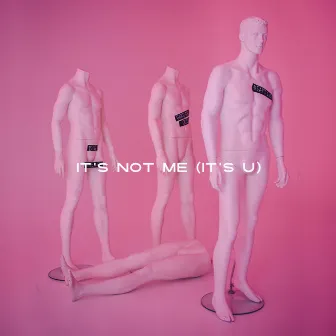 It's Not Me (It's U) by Unknown Artist