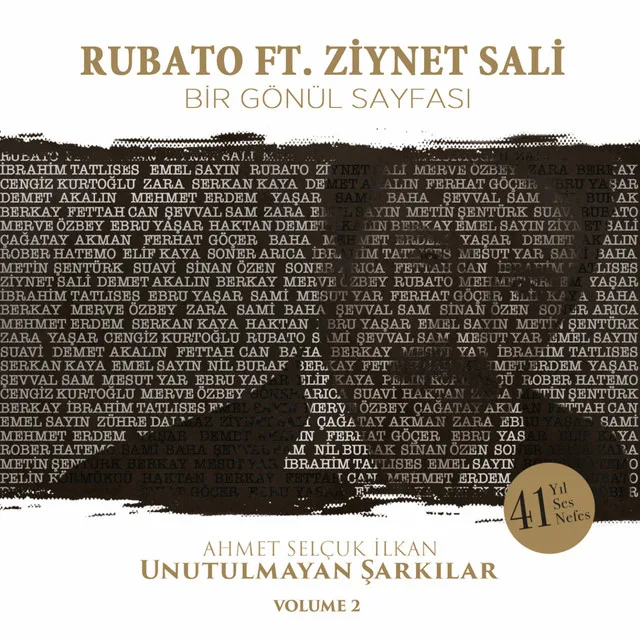 Bir Gönül Sayfası - Ahmet Selçuk İlkan Unutulmayan Şarkılar, Vol. 2