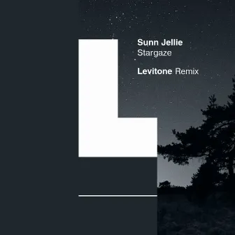 Stargaze (Levitone Remix) by Sunn Jellie