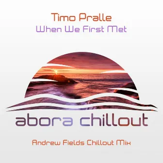 When We First Met (Andrew Fields Chillout Mix) by Timo Pralle