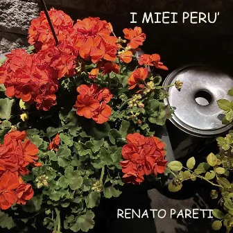 I miei Perù by Renato Pareti